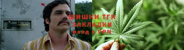 прущие грибы Липки
