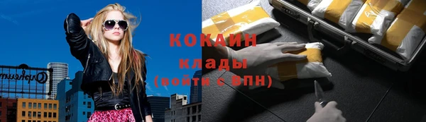 прущие грибы Липки