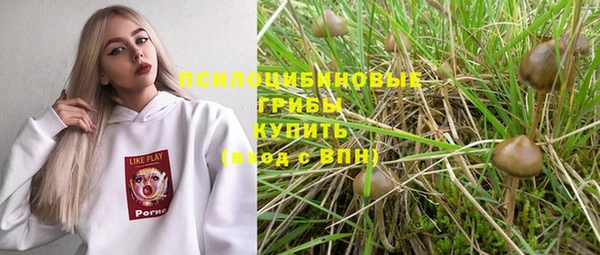spice Лиски
