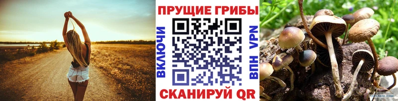 Псилоцибиновые грибы Magic Shrooms  Чекалин 